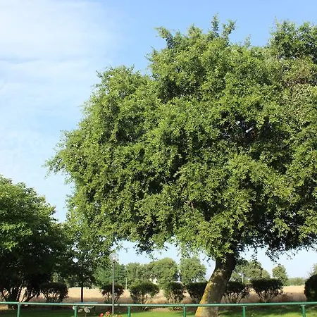 La Meridiana Agriturismo Alloggio per agriturismo