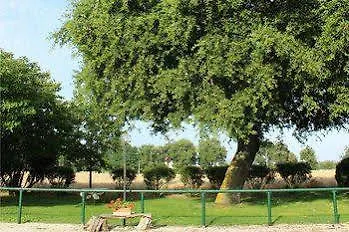 La Meridiana Agriturismo Alloggio per agriturismo *